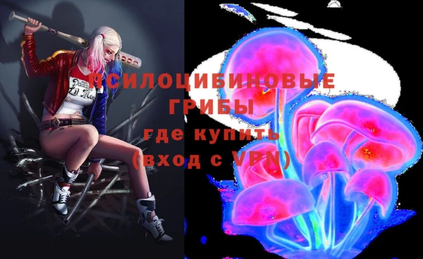 МДПВ Балахна