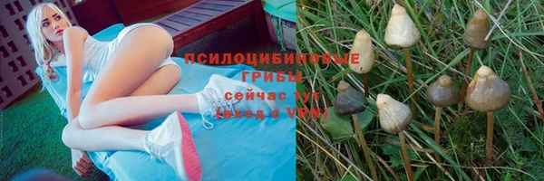 jwh Армянск