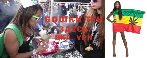 прущие грибы Баксан